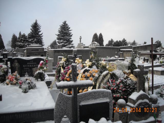 Władysław Kobylarek 1931 Jarosław - Grobonet - Wyszukiwarka osób pochowanych