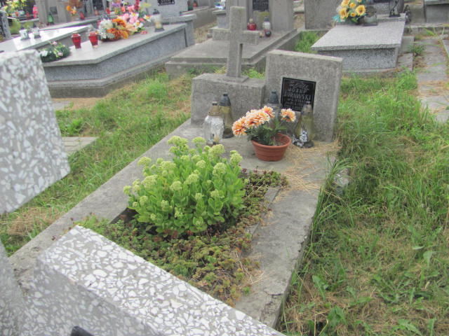 Grób Józef Żurawski