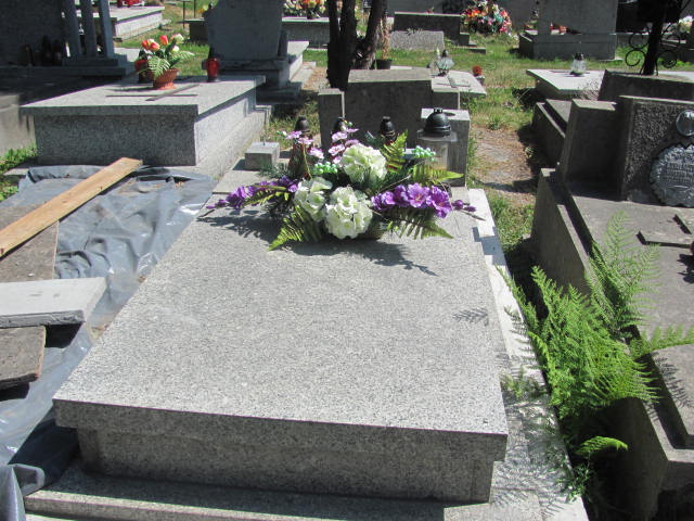 Julia Czyż 1926 Jarosław - Grobonet - Wyszukiwarka osób pochowanych