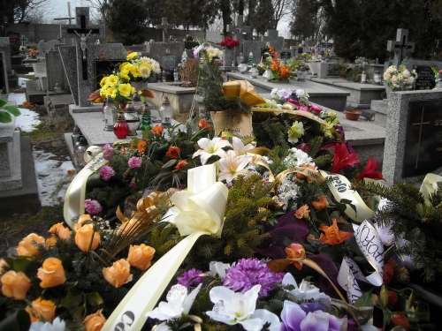 Emil Barcikowski 1929 Jarosław - Grobonet - Wyszukiwarka osób pochowanych