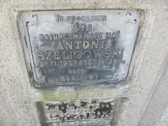 Antoni Szeligowski 1907 Jarosław - Grobonet - Wyszukiwarka osób pochowanych