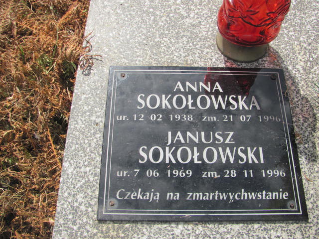 Jolanta Potocka 1967 Jarosław - Grobonet - Wyszukiwarka osób pochowanych