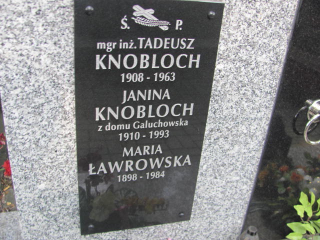 Tadeusz Knobloch 1907 Jarosław - Grobonet - Wyszukiwarka osób pochowanych