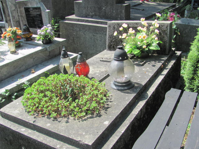 Wojciech Tuczapski 1965 Jarosław - Grobonet - Wyszukiwarka osób pochowanych