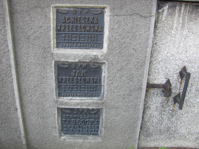 Zygmunt Witterscheim 1902 Jarosław - Grobonet - Wyszukiwarka osób pochowanych