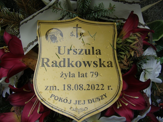 Sylwester Radkowski 1939 Jarosław - Grobonet - Wyszukiwarka osób pochowanych